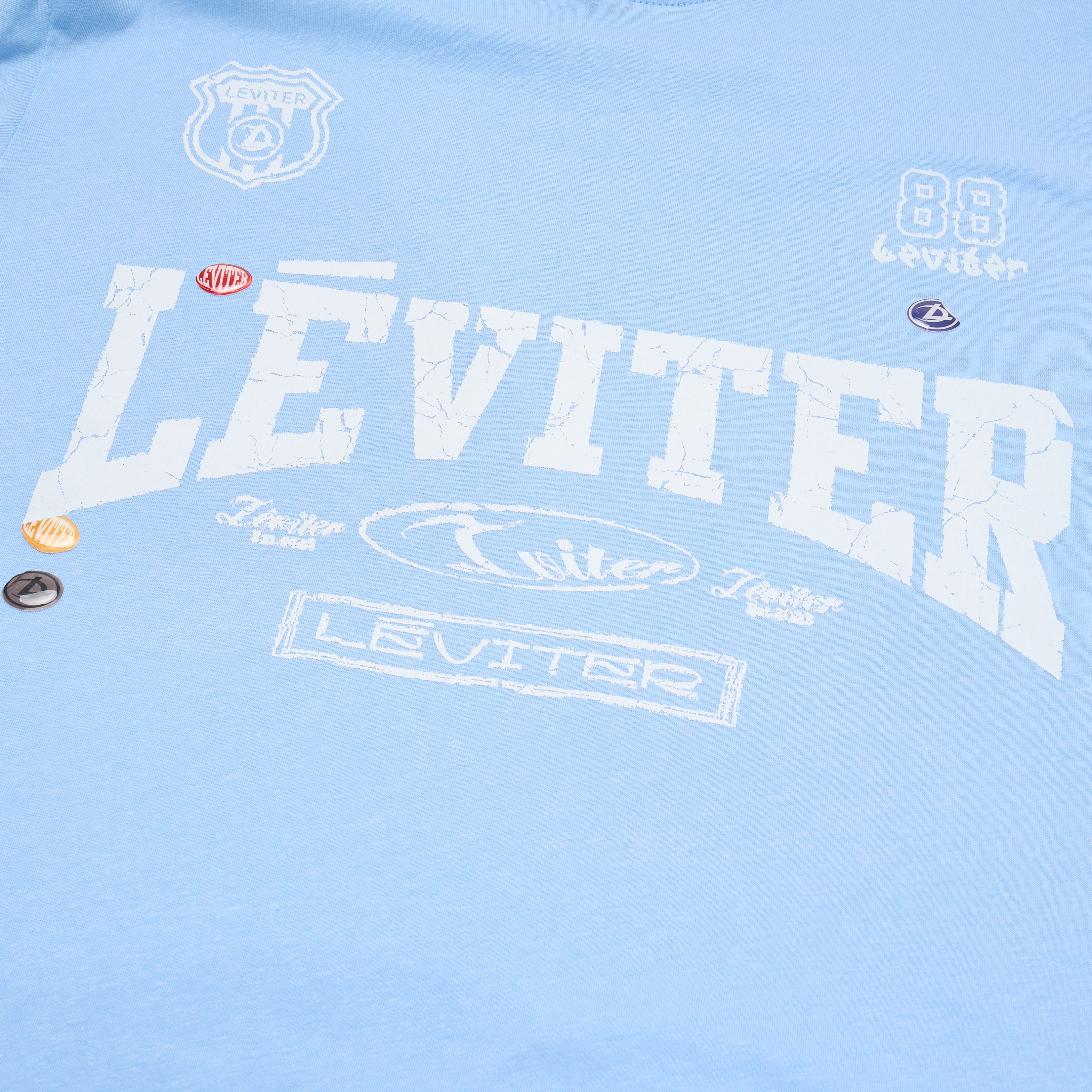 LÉVITER Vintage Collegiate Graphic Tee